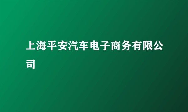 上海平安汽车电子商务有限公司