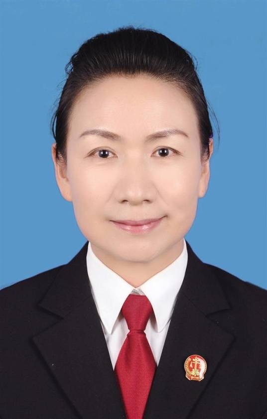 何莉（宁夏回族自治区人大法制委员会副主任委员，自治区人大常委会法制工作委员会主任）