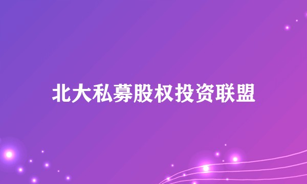 北大私募股权投资联盟
