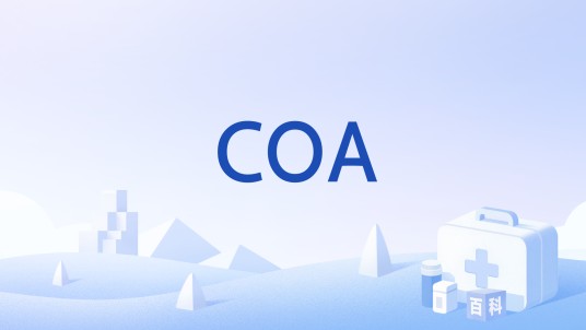 COA（RFC COA）