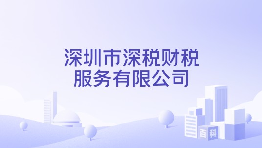 深圳市深税财税服务有限公司