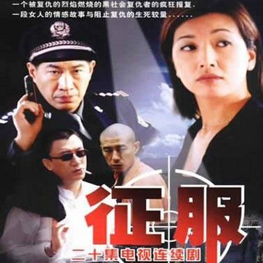 征服（中国内地2003年高群书执导的电视剧）