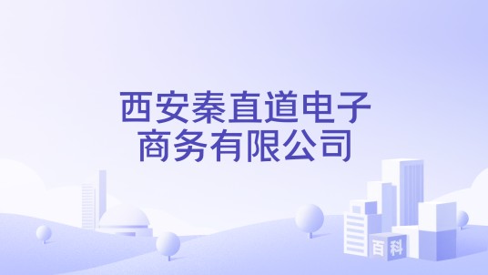 西安秦直道电子商务有限公司