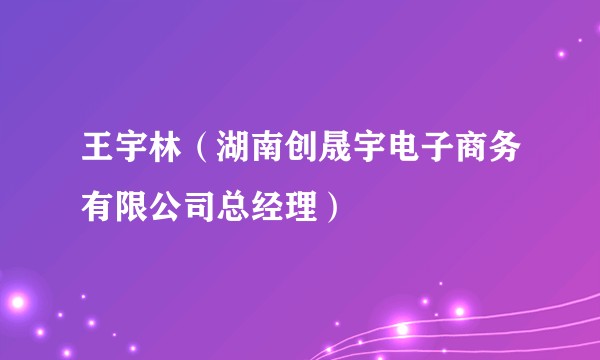 王宇林（湖南创晟宇电子商务有限公司总经理）