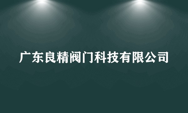 广东良精阀门科技有限公司