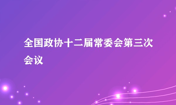 全国政协十二届常委会第三次会议