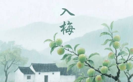入梅