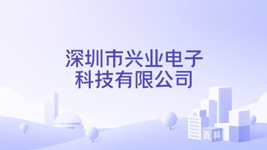 深圳市兴业电子科技有限公司