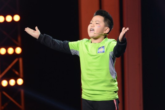 少年演说家（2015年大嘴哥主持的语言竞技真人秀）