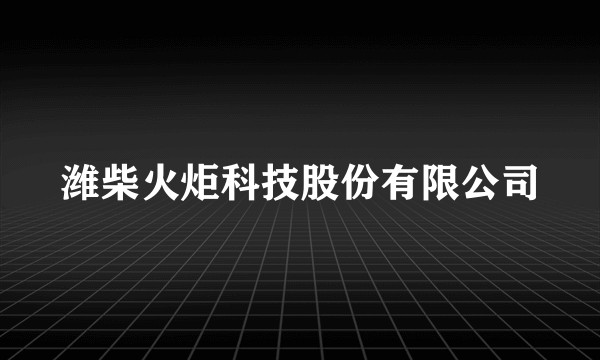 潍柴火炬科技股份有限公司