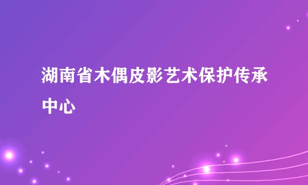 湖南省木偶皮影艺术保护传承中心