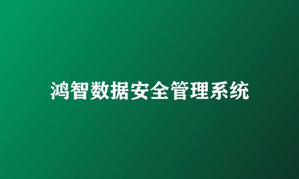 鸿智数据安全管理系统