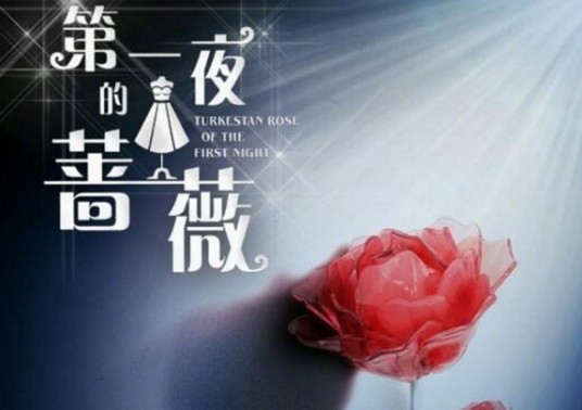 第一夜的蔷薇（明晓溪同名小说改编的电视剧）