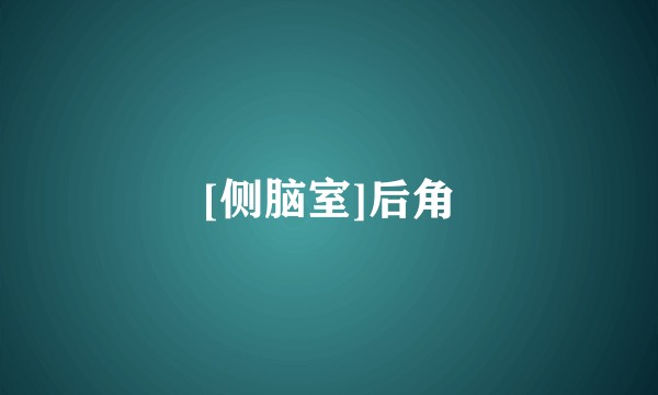 [侧脑室]后角