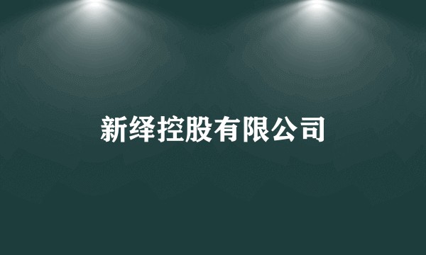 新绎控股有限公司