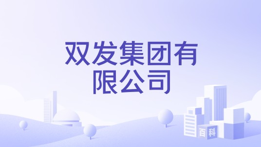 双发集团有限公司