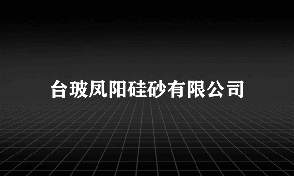 台玻凤阳硅砂有限公司