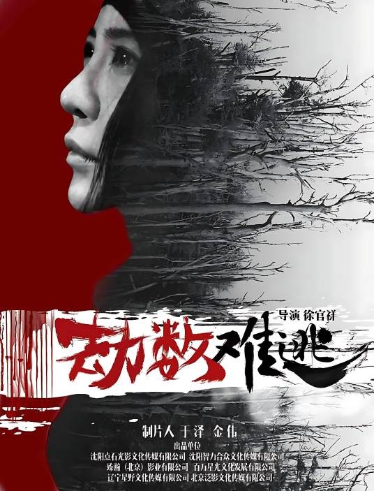 劫数难逃（中国2019年徐官祥、陈志峰执导电影）