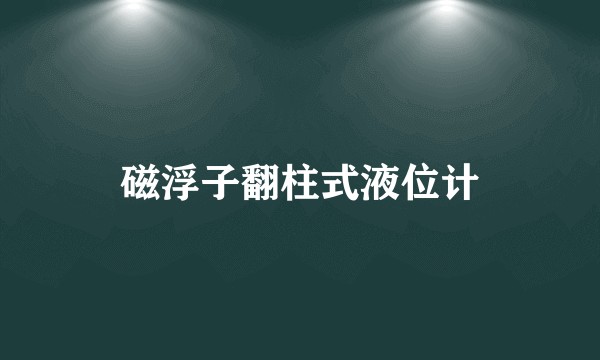 磁浮子翻柱式液位计