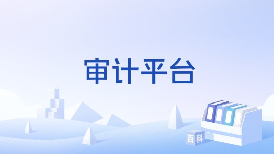 审计平台