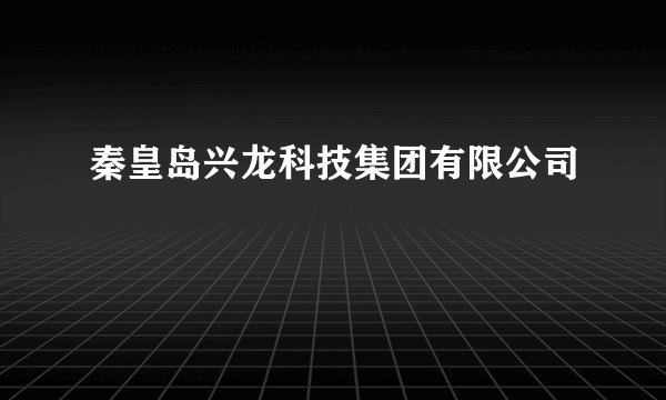 秦皇岛兴龙科技集团有限公司