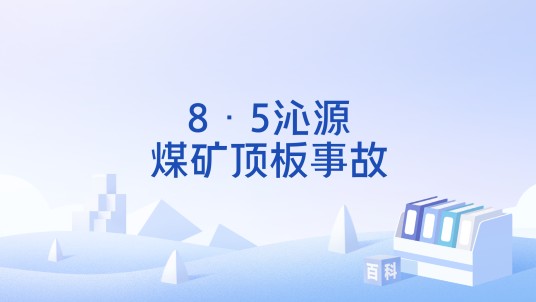 8·5沁源煤矿顶板事故