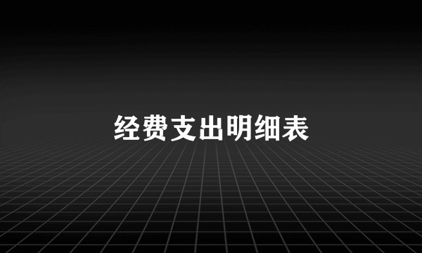 经费支出明细表