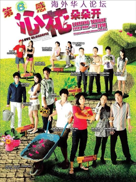 心花朵朵开（新加坡2008年黄光荣执导的家庭电视剧）