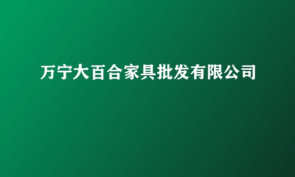 万宁大百合家具批发有限公司