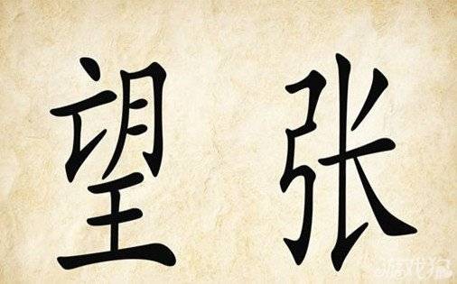东张西望（2004年肖知兴创作的书籍）