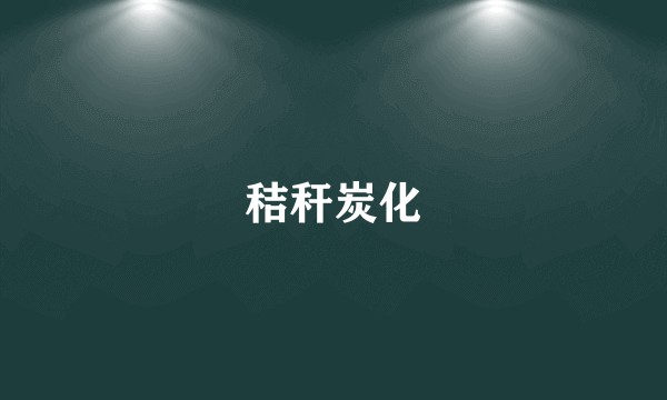 秸秆炭化