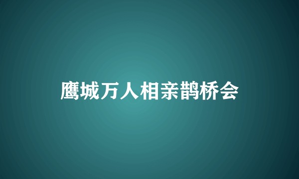 鹰城万人相亲鹊桥会