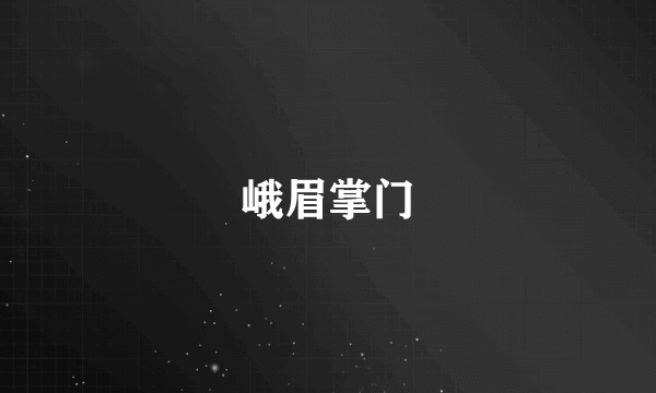 峨眉掌门