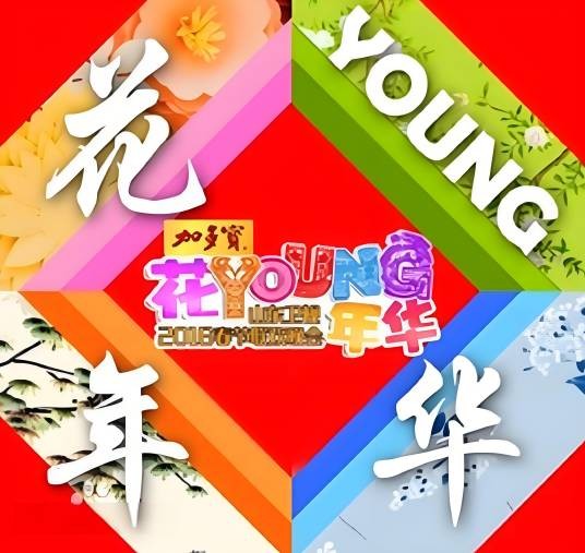 2016年山东卫视春节联欢晚会