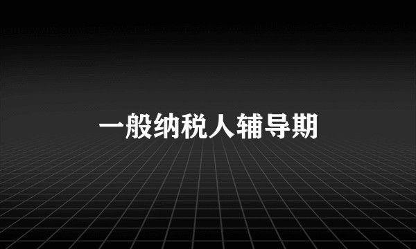 一般纳税人辅导期