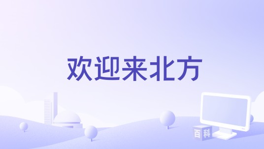 欢迎来北方（2012年意大利电影）