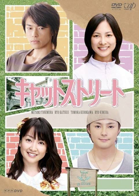 猫街（日本2008年佐々木章光执导的剧情电视剧）
