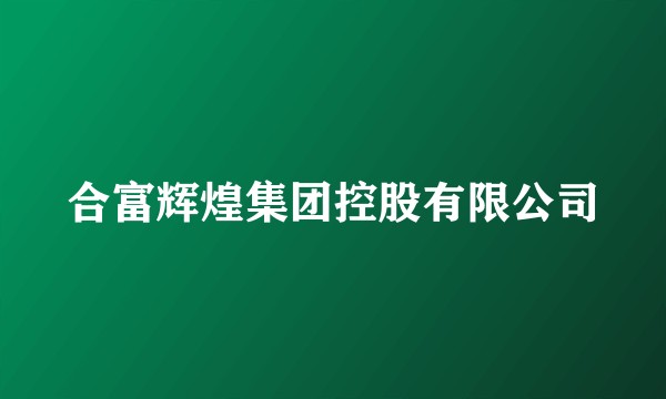 合富辉煌集团控股有限公司