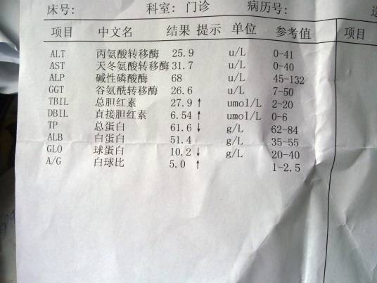 总胆红素