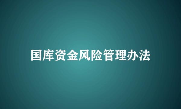 国库资金风险管理办法