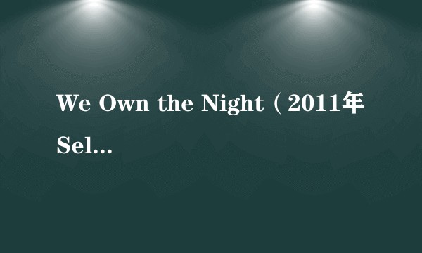 We Own the Night（2011年Selena Gomez & The Scene演唱的歌曲）