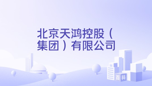 北京天鸿控股（集团）有限公司