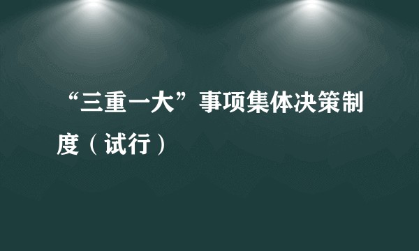 “三重一大”事项集体决策制度（试行）