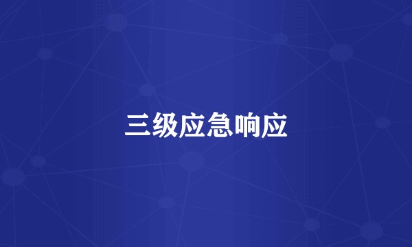 三级应急响应
