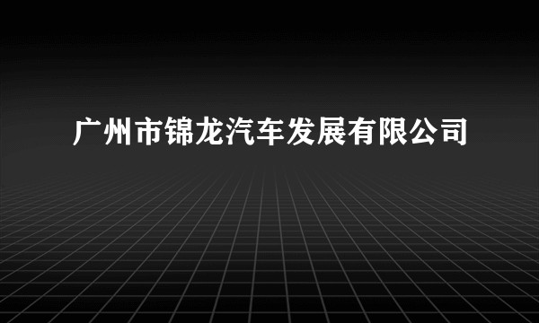 广州市锦龙汽车发展有限公司
