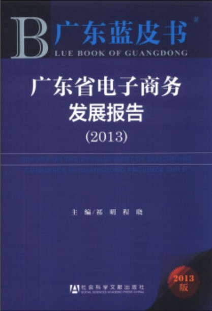 广东省电子商务发展报告(2013)
