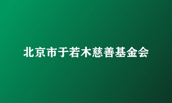 北京市于若木慈善基金会