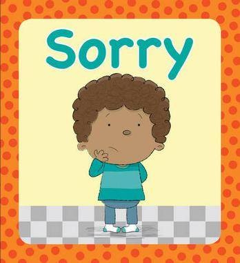 sorry sorry(2010年江苏文艺出版社出版的图书)