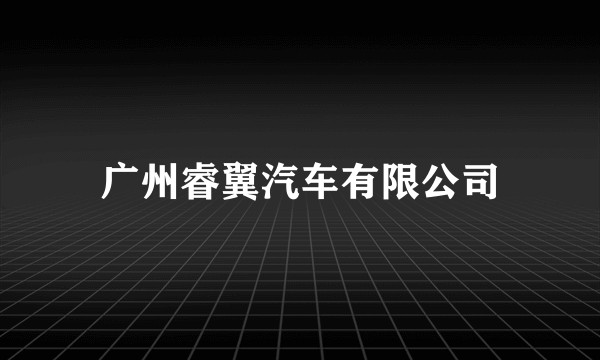 广州睿翼汽车有限公司