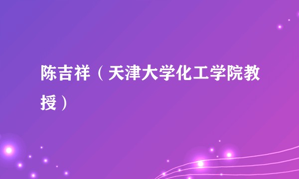 陈吉祥（天津大学化工学院教授）